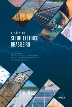 Visões do setor elétrico brasileiro